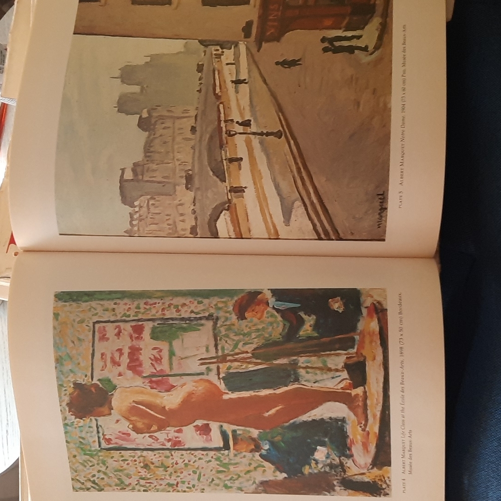'Matisse and the Fauves', Art book - Picture 3 of 3